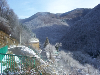  Image name: molino capodanno  2009 303 (207).jpg 
 width: 400 pixel 
 height: 301 pixel 
 Size: 111895 bytes 
 Click to enlarge 